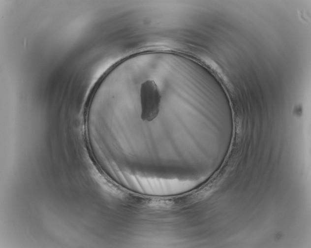 X0000089961466200707201937