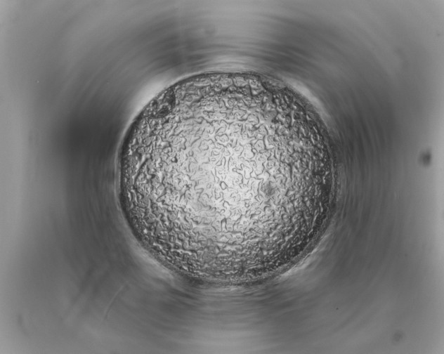 X0000089961467200707201937