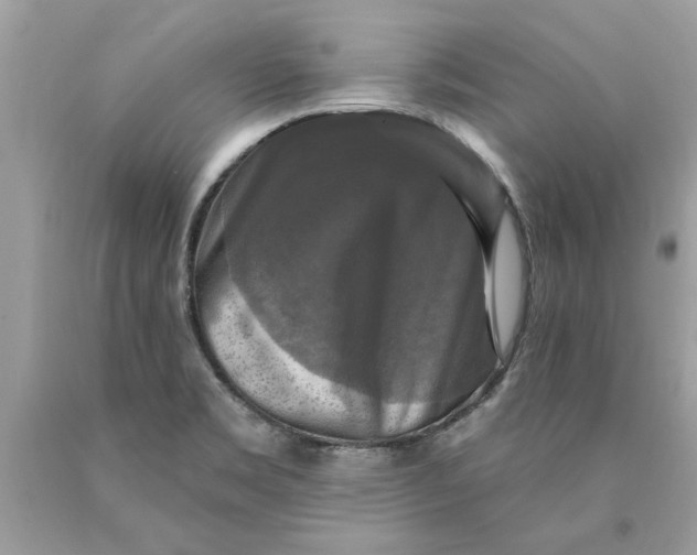 X0000089961469200707201937