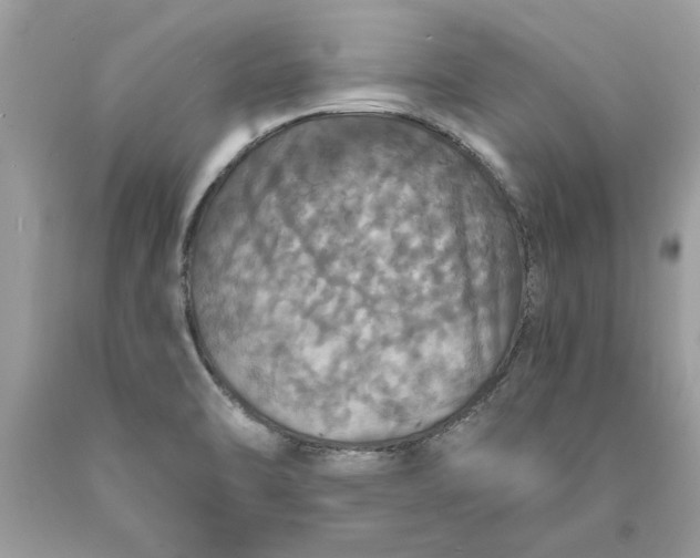 X0000089961470200707201937