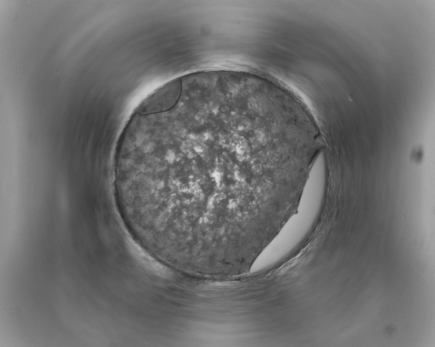 X0000089961471200707201937