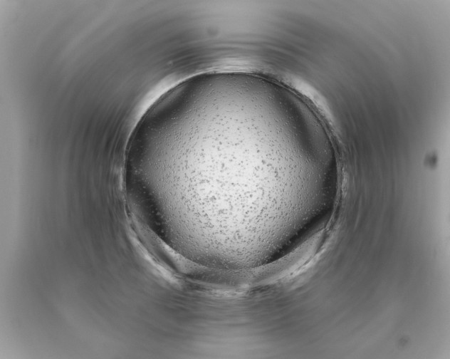 X0000089961473200707201937