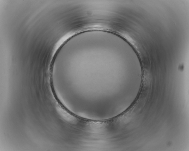 X0000089961474200707201937