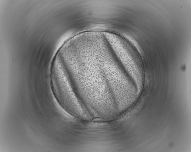 X0000089961475200707201937