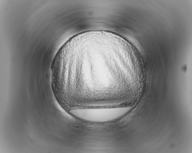 X0000089961476200707201937