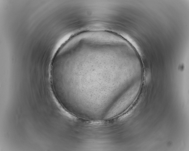 X0000089961477200707201937