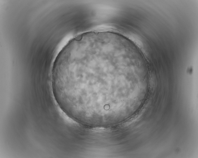 X0000089961478200707201937