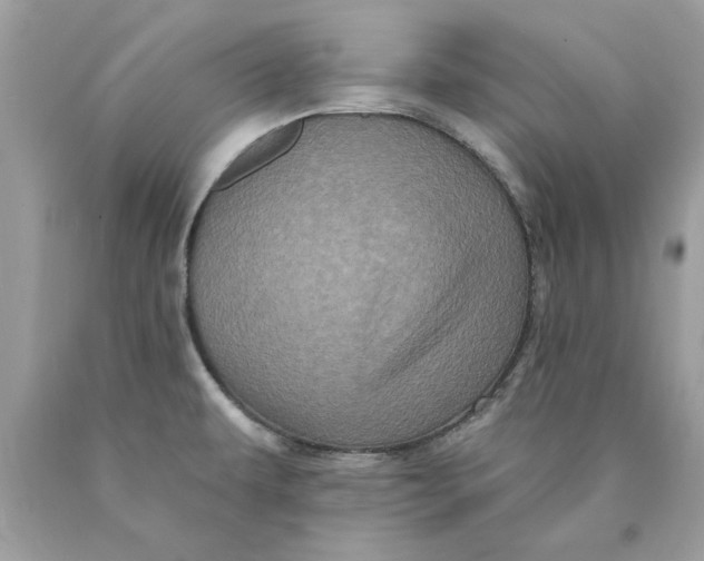 X0000089961479200707201937