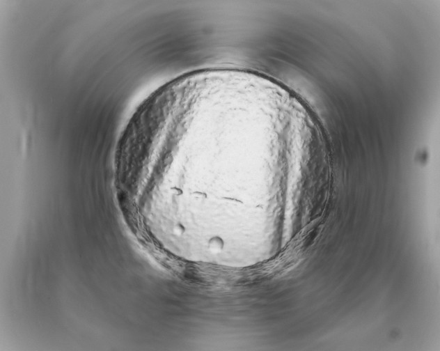 X0000089961480200707201937