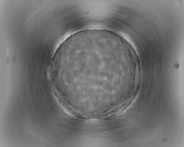 X0000089961481200707201937