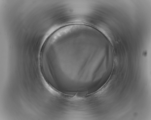 X0000089961482200707201937