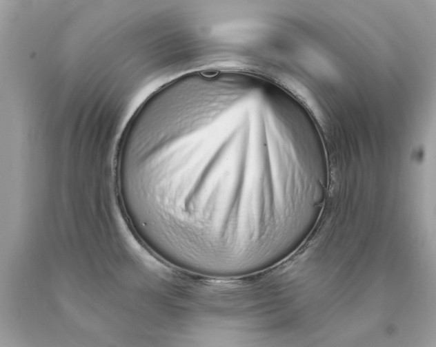 X0000089961483200707201937