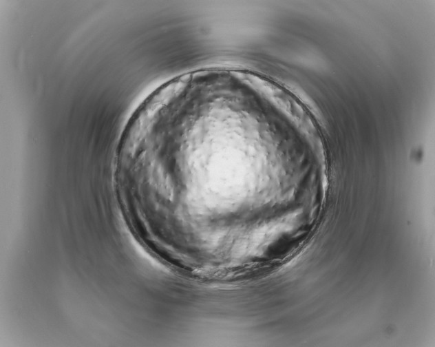 X0000089961484200707201937