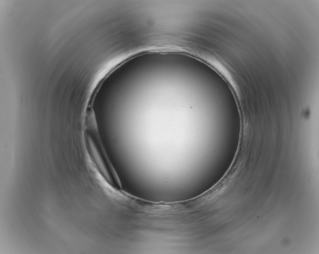 X0000089961485200707201937