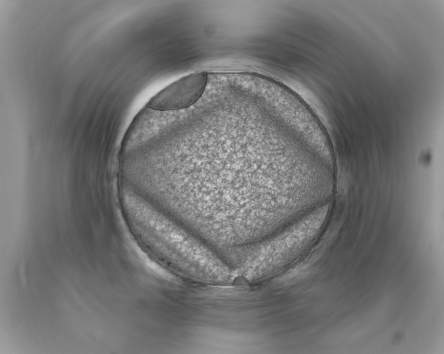 X0000089961486200707201937