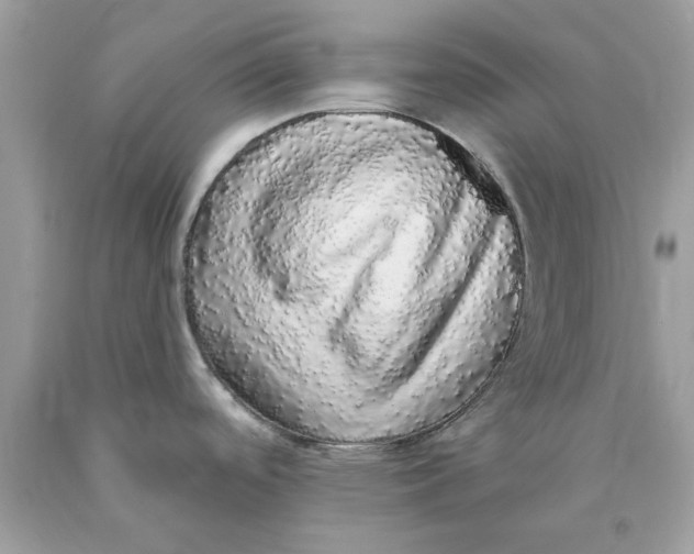 X0000089961488200707201937