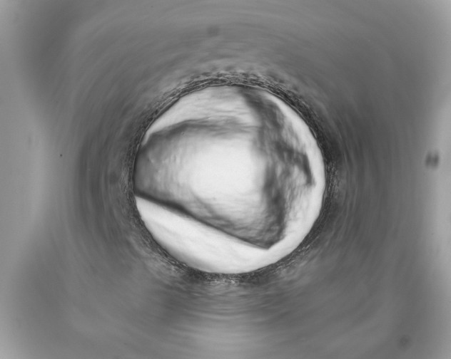 X0000089961489200707201936