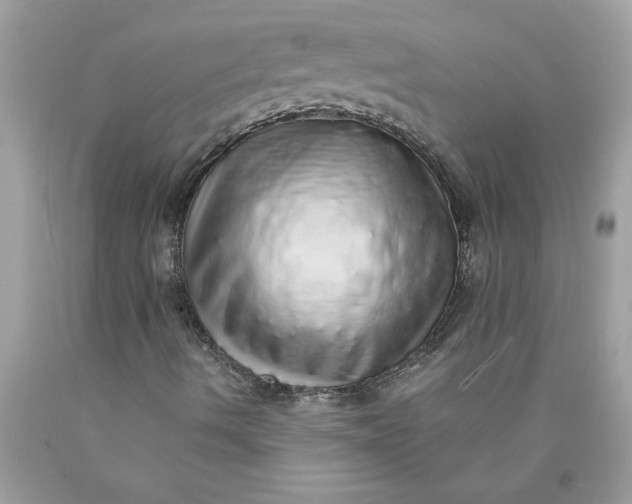 X0000089961490200707201936