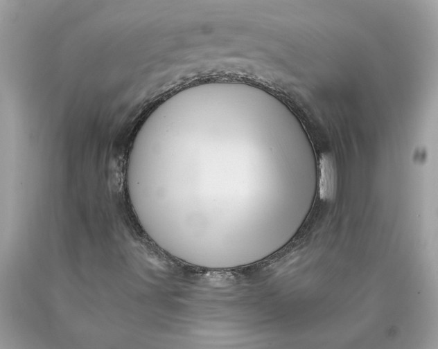 X0000089961491200707201936