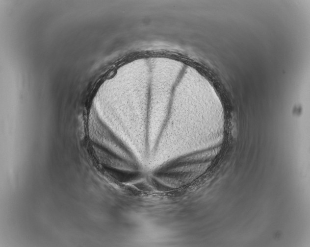 X0000089961493200707201936