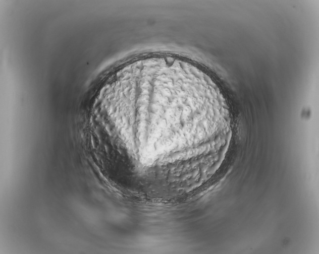 X0000089961494200707201936