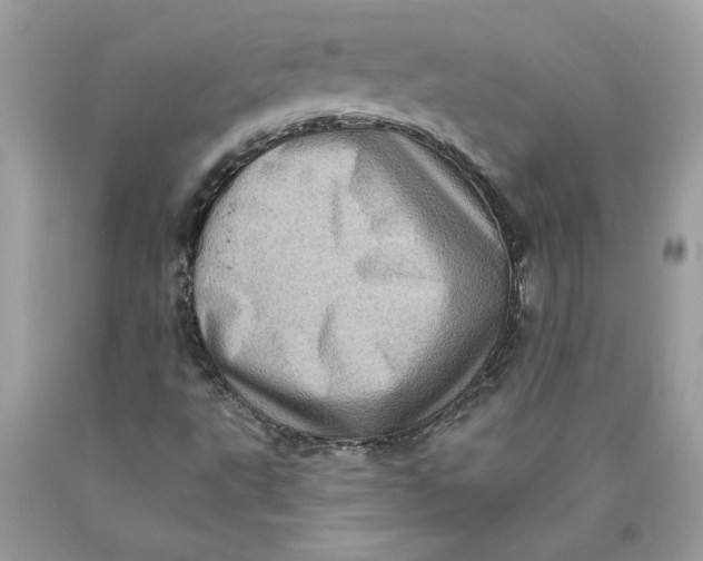 X0000089961495200707201936