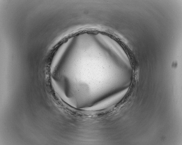 X0000089961496200707201936