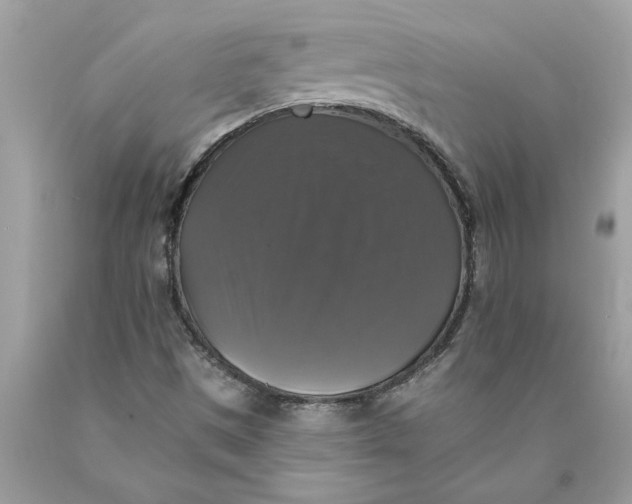 X0000089961497200707201936