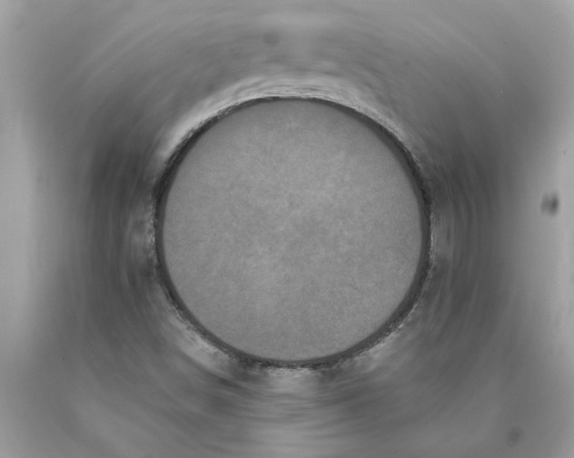 X0000089961498200707201936