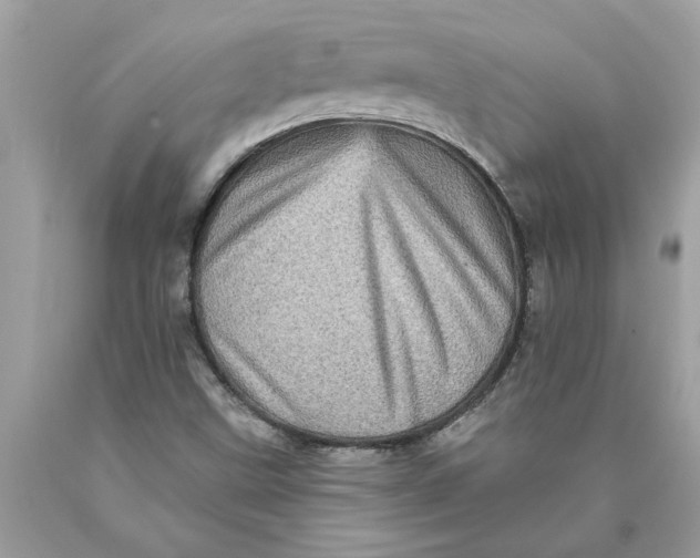 X0000089961499200707201936