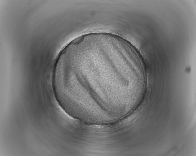 X0000089961500200707201936