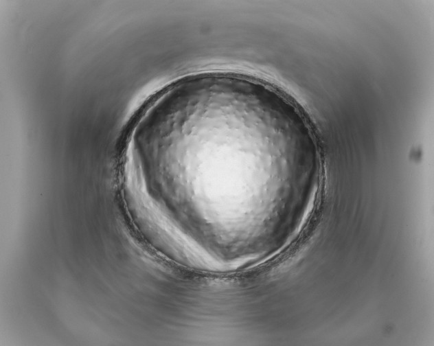 X0000089961501200707201936