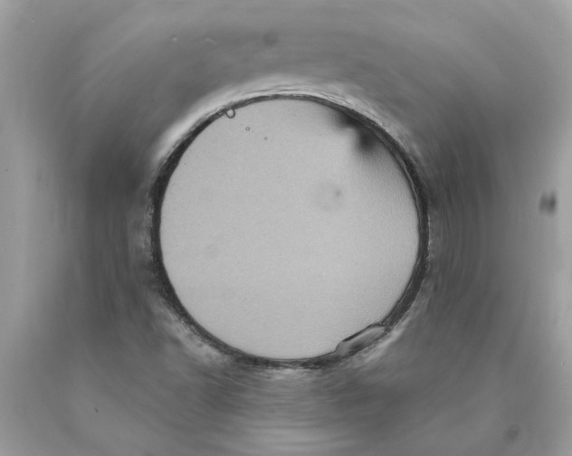 X0000089961502200707201936