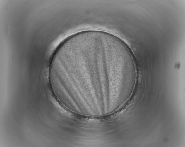 X0000089961503200707201936