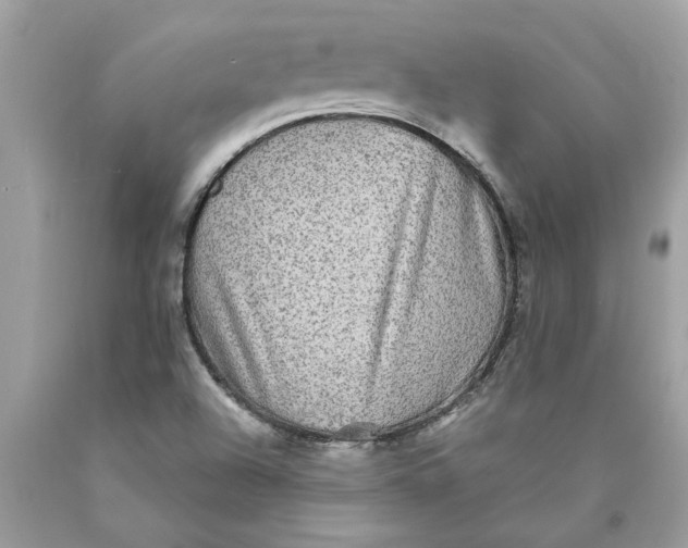 X0000089961504200707201936