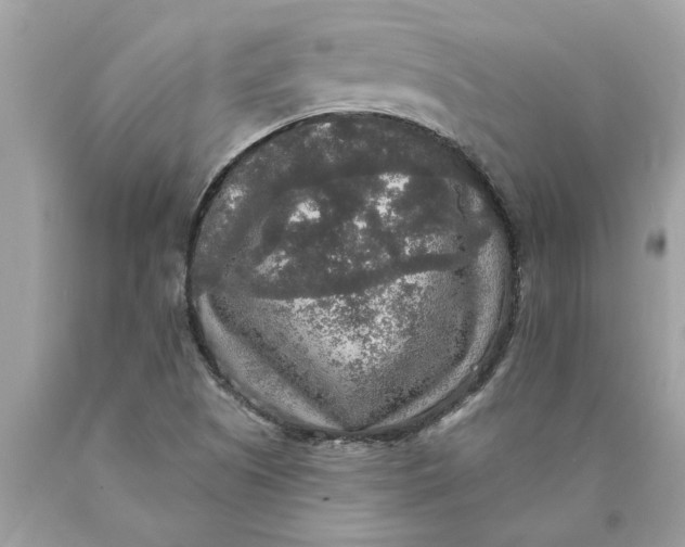 X0000089961505200707201936