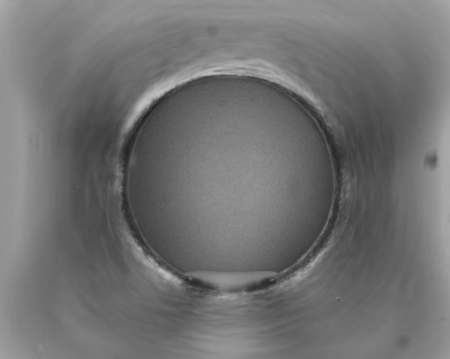 X0000089961506200707201936