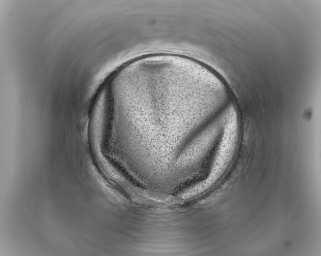 X0000089961507200707201936