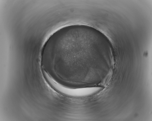 X0000089961508200707201936