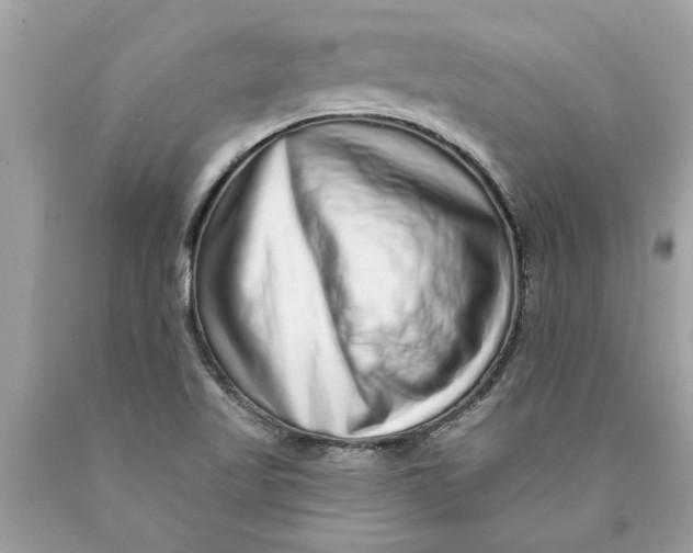 X0000089961509200707201936