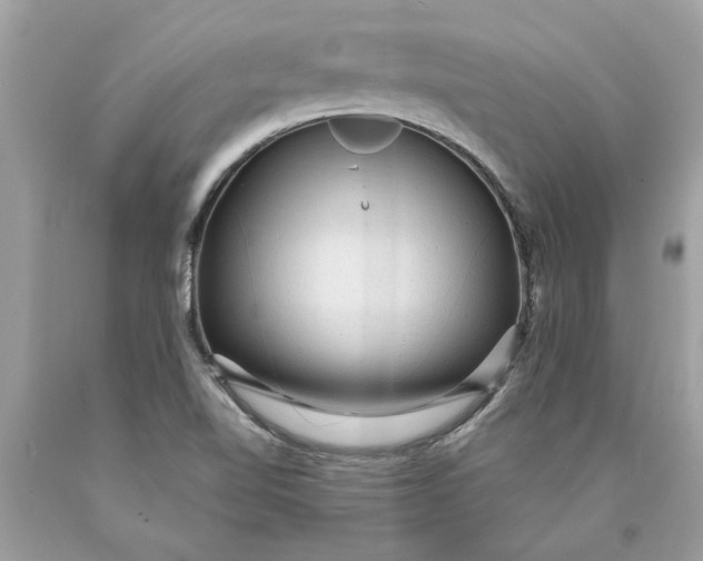 X0000089961510200707201936