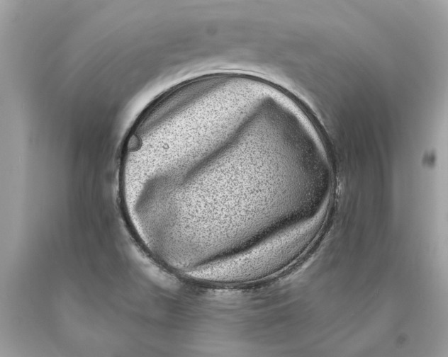 X0000089961511200707201936