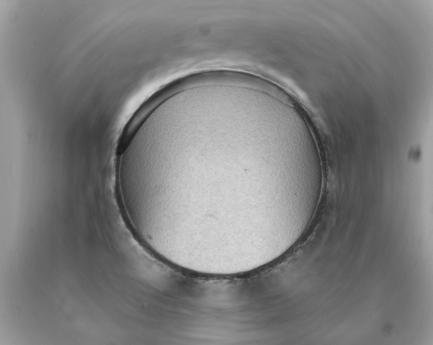 X0000089961512200707201936