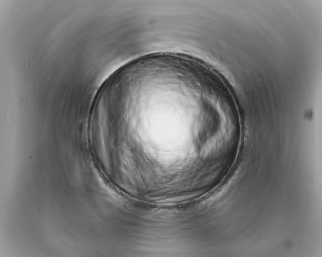 X0000089961513200707201936