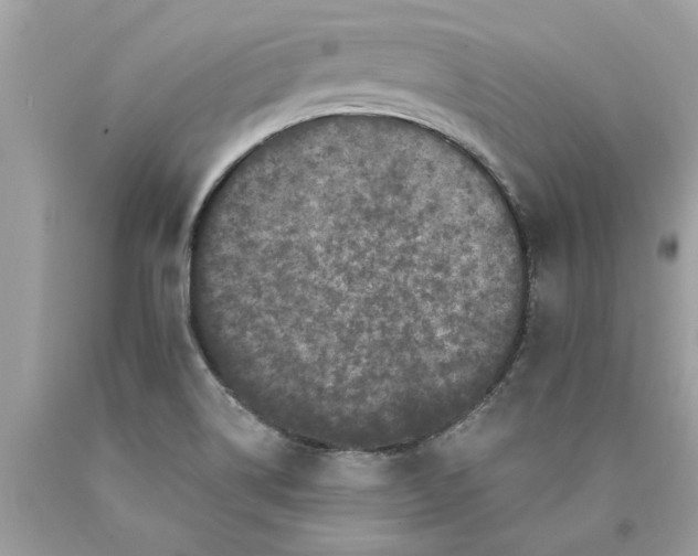 X0000089961514200707201936