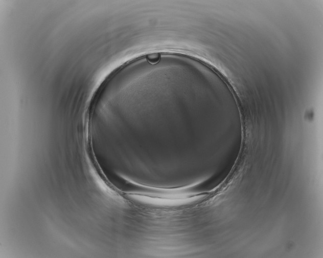 X0000089961515200707201936