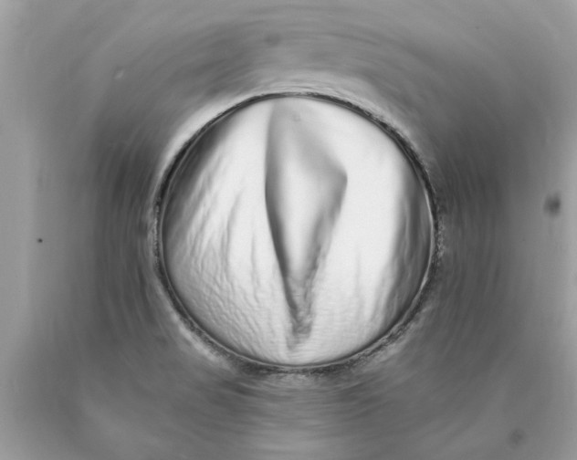 X0000089961517200707201936