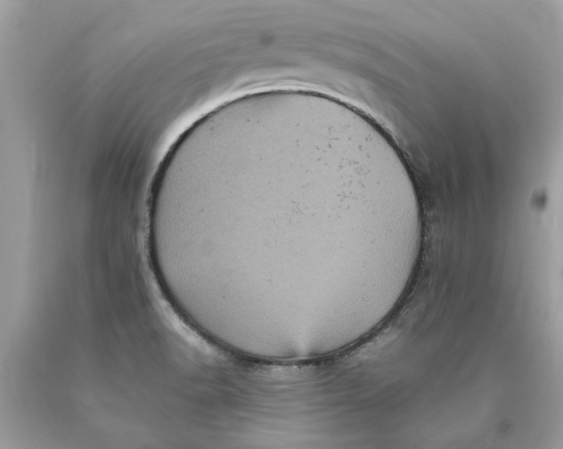 X0000089961518200707201936