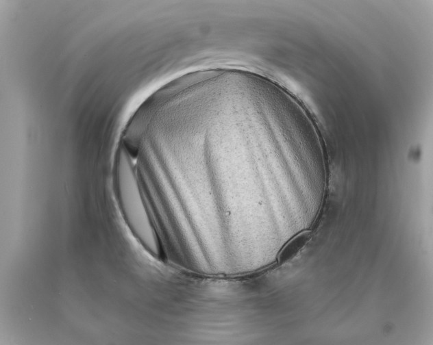 X0000089961520200707201936