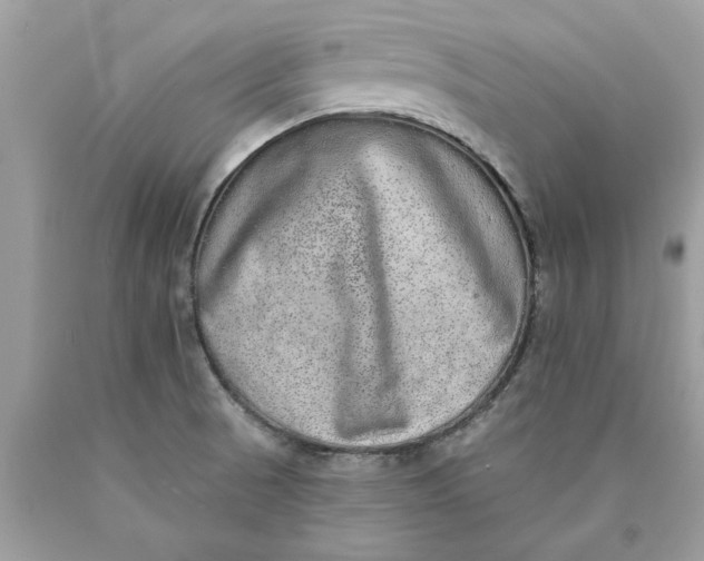 X0000089961521200707201936